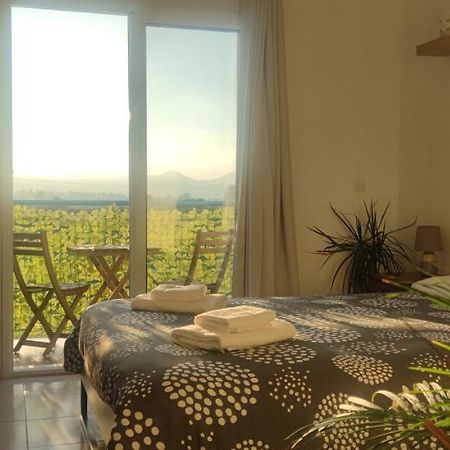 Thalassa Seaside Boutique Beach Apartment Polis Exterior foto
