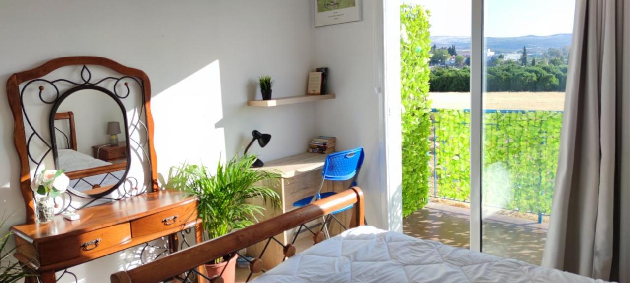 Thalassa Seaside Boutique Beach Apartment Polis Exterior foto