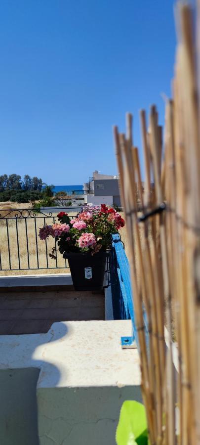 Thalassa Seaside Boutique Beach Apartment Polis Exterior foto