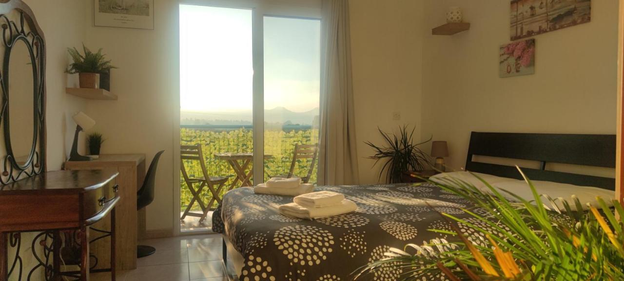 Thalassa Seaside Boutique Beach Apartment Polis Exterior foto